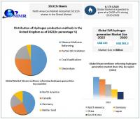 Steam Methane Reforming Hydrogen Generation Market to reach USD 201.3 Billion by 2029 at a growth rate of 6.1 percent over the forecast period