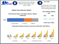 Yeast Infection Market to reach USD 6.55 Billion by 2029 at a growth rate of 6.2 percent over the forecast period