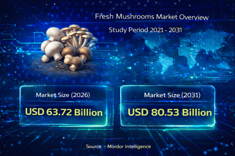 Fresh Mushrooms Market Size to Reach USD 80.53 Billion by 2031: Key Trends and Growth Drivers