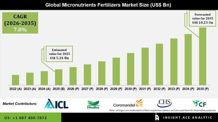 Micronutrients Fertilizers Market Key Players and Strategic Developments 2035