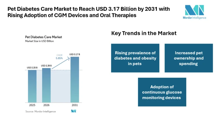 Pet Diabetes Care Market to Reach USD 3.17 Billion by 2031 with Rising Adoption of CGM Devices and Oral Therapies
