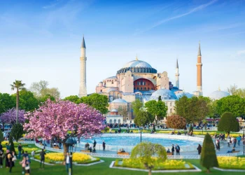 Türkiye’de PR Ajanslarının ve Basın Bülteni Dağıtımının Stratejik Rolü